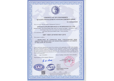 質量(liang)管理體系(xi)認證證書(shu)-英文